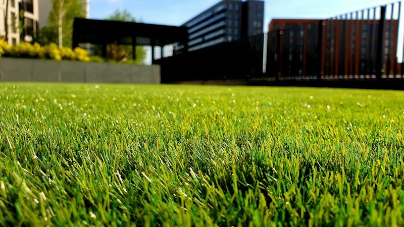 Landscaped yard with patio